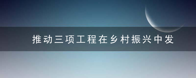 推动三项工程在乡村振兴中发挥更大作用