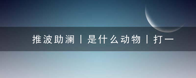 推波助澜丨是什么动物丨打一生肖,建设四好农村路,兴业富