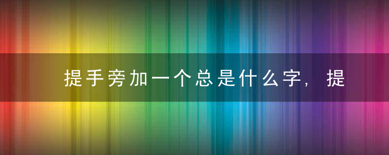 提手旁加一个总是什么字,提手旁加一个总念什么