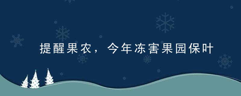 提醒果农，今年冻害果园保叶是重点，套袋后施用肥药方案看这里！
