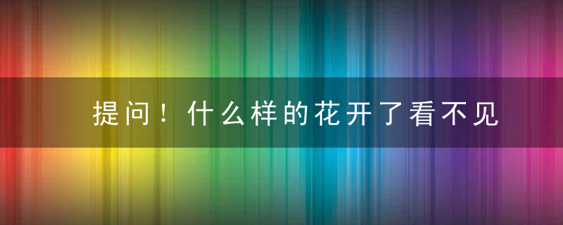 提问！什么样的花开了看不见答案：心花怒放打一生肖