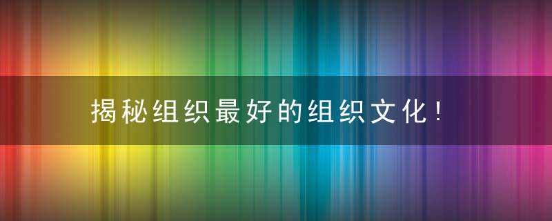 揭秘组织最好的组织文化!