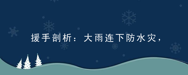 援手剖析：大雨连下防水灾，同心齐力御天灾打一生肖是什么意思