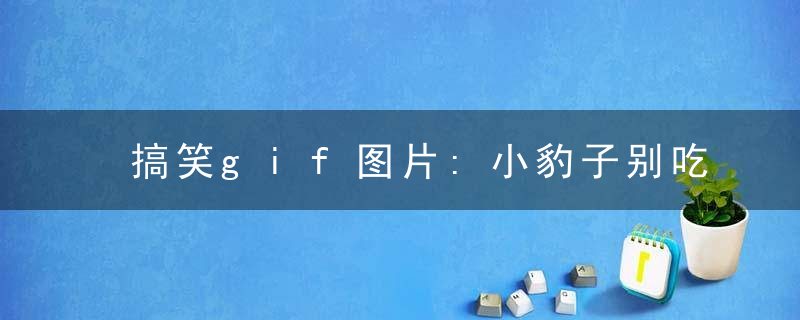 搞笑gif图片:小豹子别吃了，我家狗狗有意见了