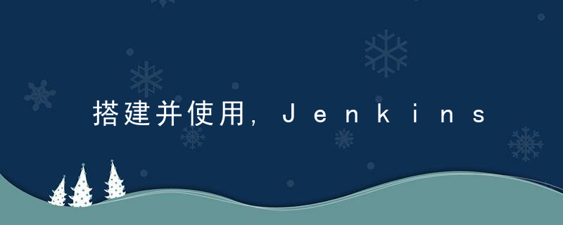 搭建并使用,Jenkins,自动化构建环境