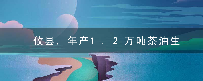 攸县,年产1.2万吨茶油生产线试生产,4月份正式投产