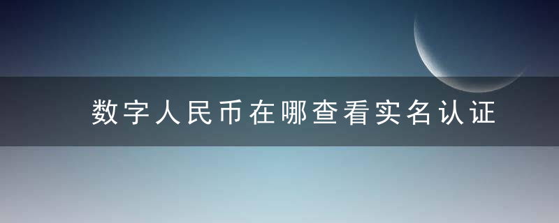 数字人民币在哪查看实名认证信息