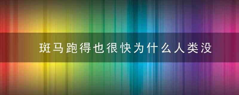 斑马跑得也很快为什么人类没有把它当成坐骑呢 为什么人类没有把斑马当成坐骑呢