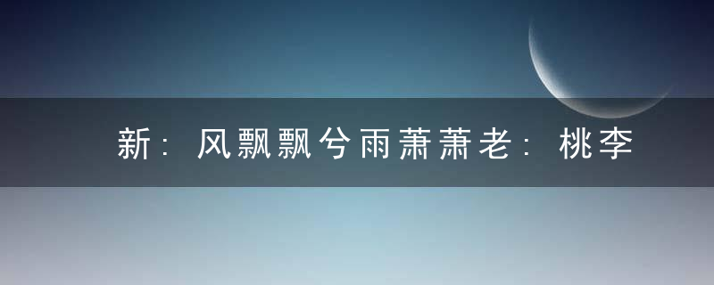 新:风飘飘兮雨萧萧老:桃李阴阴柳絮飞打一生肖指什么意思