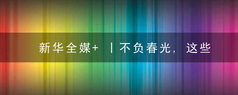 新华全媒+丨不负春光,这些重点工程“进度条”刷新,今