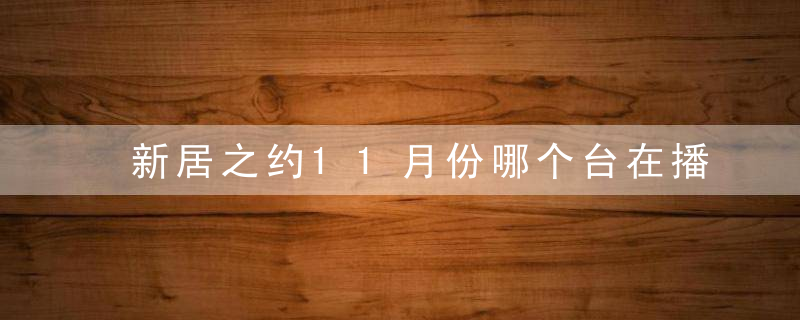 新居之约11月份哪个台在播放