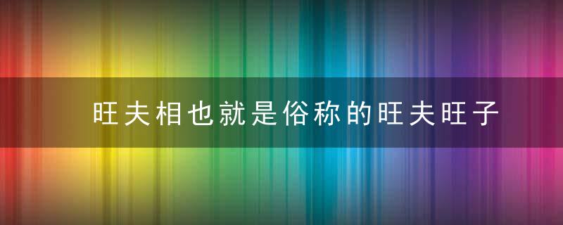 旺夫相也就是俗称的旺夫旺子的好面相，看一看是你吗