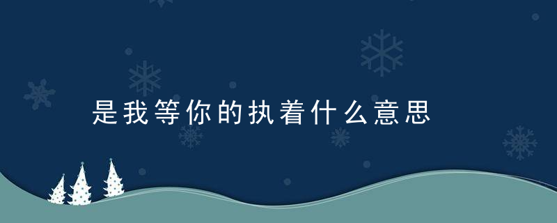 是我等你的执着什么意思