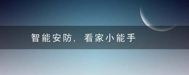 智能安防,看家小能手