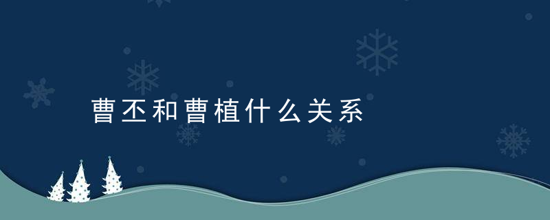 曹丕和曹植什么关系