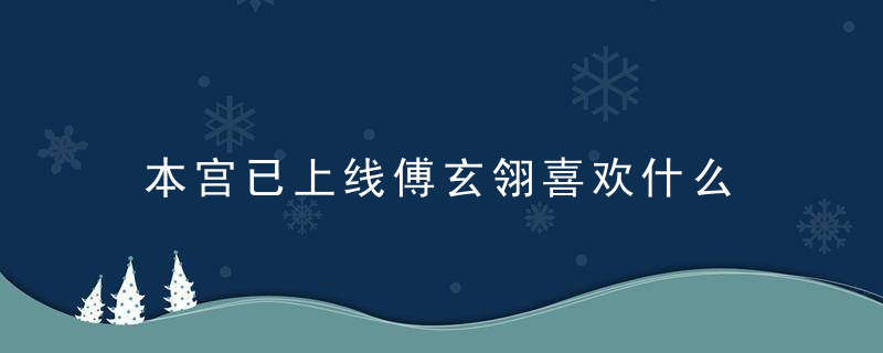 本宫已上线傅玄翎喜欢什么