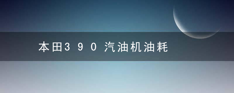 本田390汽油机油耗