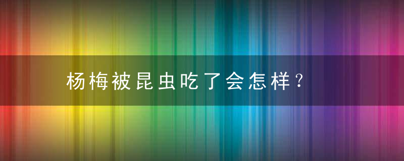 杨梅被昆虫吃了会怎样？