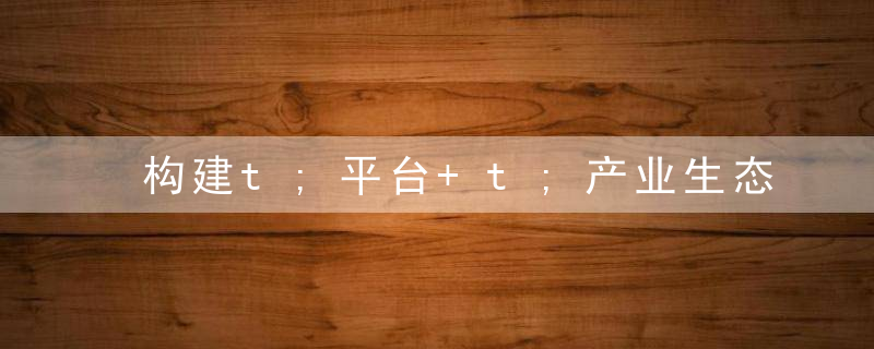构建t;平台+t;产业生态体系,加速