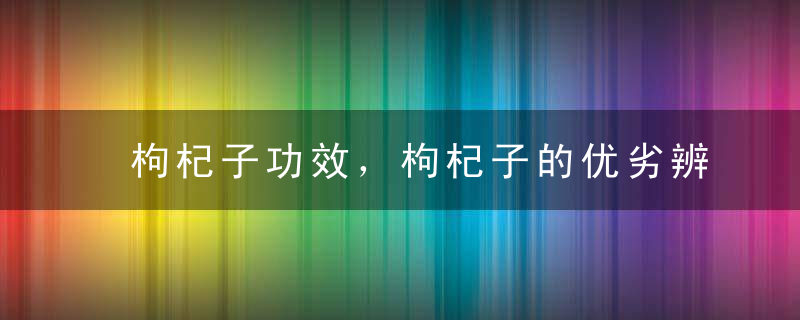 枸杞子功效，枸杞子的优劣辨别，枸杞子的用药禁忌及储藏方法