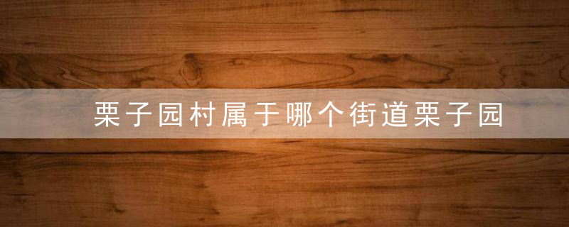 栗子园村属于哪个街道栗子园村介绍，栗子园村属于哪个街道