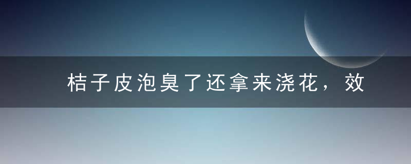 桔子皮泡臭了还拿来浇花，效果惊呆了