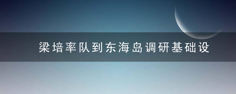 梁培率队到东海岛调研基础设施排水工程建设情况