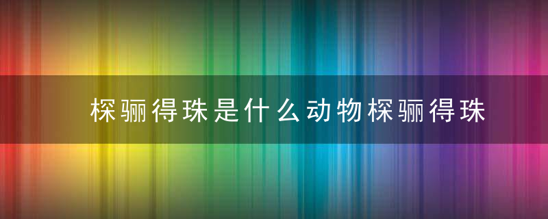 棎骊得珠是什么动物棎骊得珠指什么生肖棎骊得珠指什么含义