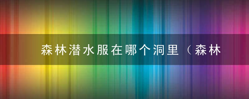 森林潜水服在哪个洞里（森林现代弓洞位置详图）