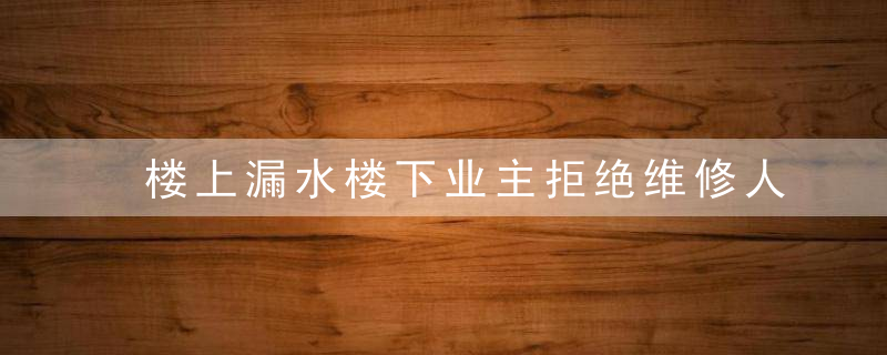 楼上漏水楼下业主拒绝维修人员进门,造成损失谁来担责