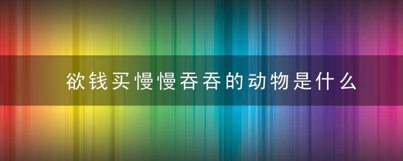 欲钱买慢慢吞吞的动物是什么生肖数字独家奉上1肖