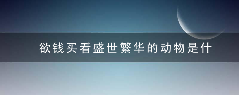 欲钱买看盛世繁华的动物是什么生肖指什么意思实力分享