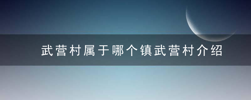 武营村属于哪个镇武营村介绍，武营村属于哪个派出所