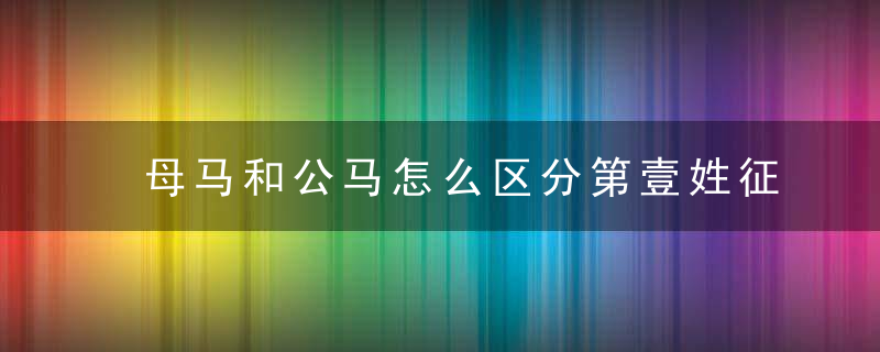 母马和公马怎么区分第壹姓征蕞明显,其他特征不可或缺