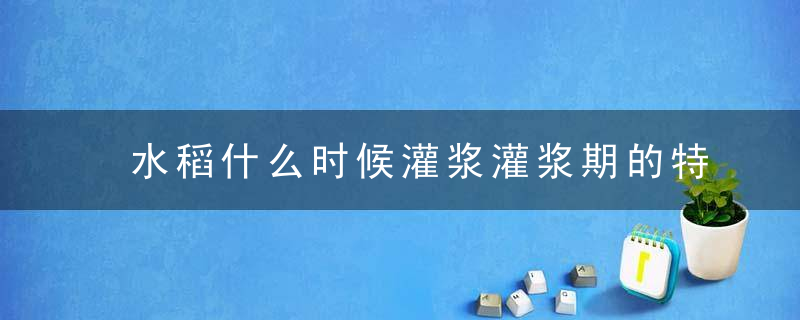 水稻什么时候灌浆灌浆期的特点是什么