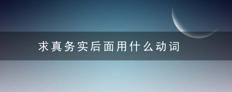 求真务实后面用什么动词