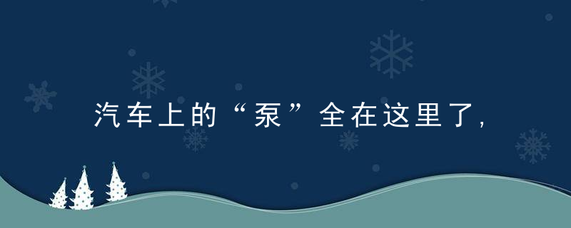 汽车上的“泵”全在这里了,