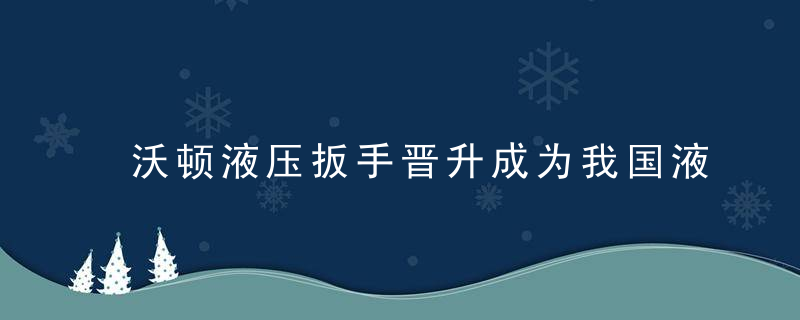 沃顿液压扳手晋升成为我国液压扳手行业领袖品牌