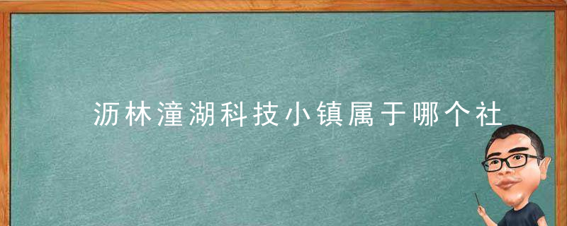 沥林潼湖科技小镇属于哪个社区