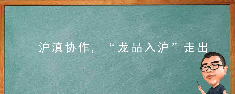 沪滇协作,“龙品入沪”走出消费帮扶新路子,近日最新