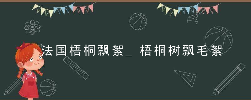 法国梧桐飘絮_梧桐树飘毛絮解决方案_梧桐树的毛絮怎么治理