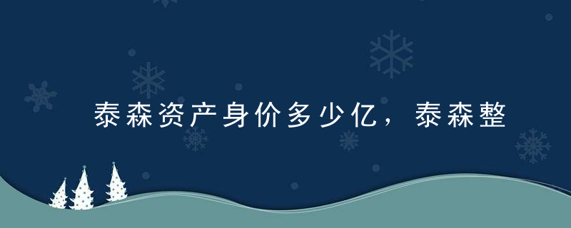 泰森资产身价多少亿，泰森整个职业生涯的收入