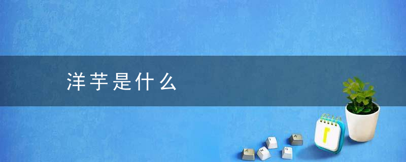 洋芋是什么