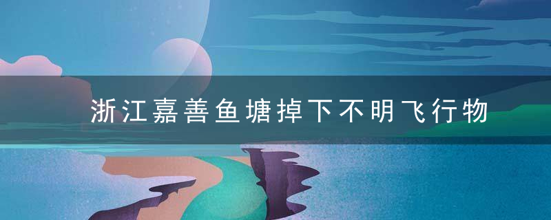 浙江嘉善鱼塘掉下不明飞行物,当地,暂时不发掘