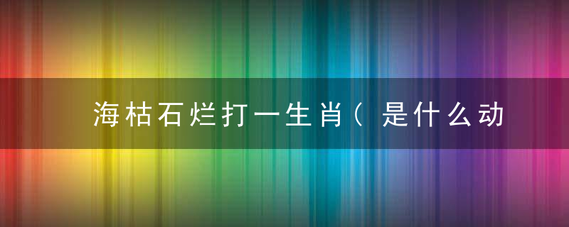 海枯石烂打一生肖(是什么动物)zui新深圳疫情新闻强化防控措施