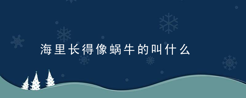 海里长得像蜗牛的叫什么