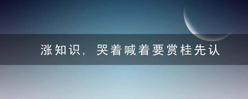 涨知识,哭着喊着要赏桂先认清楚谁是谁先