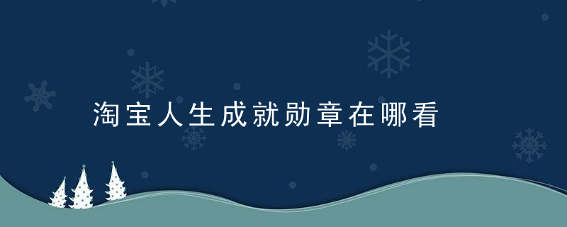 淘宝人生成就勋章在哪看