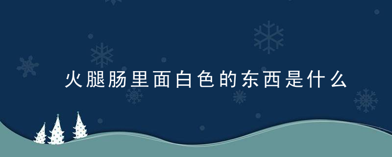 火腿肠里面白色的东西是什么