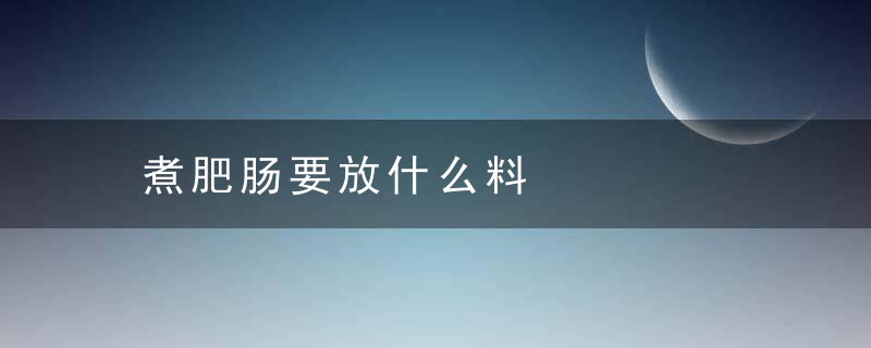 煮肥肠要放什么料